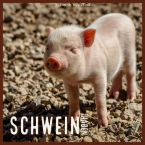 Schwein haben